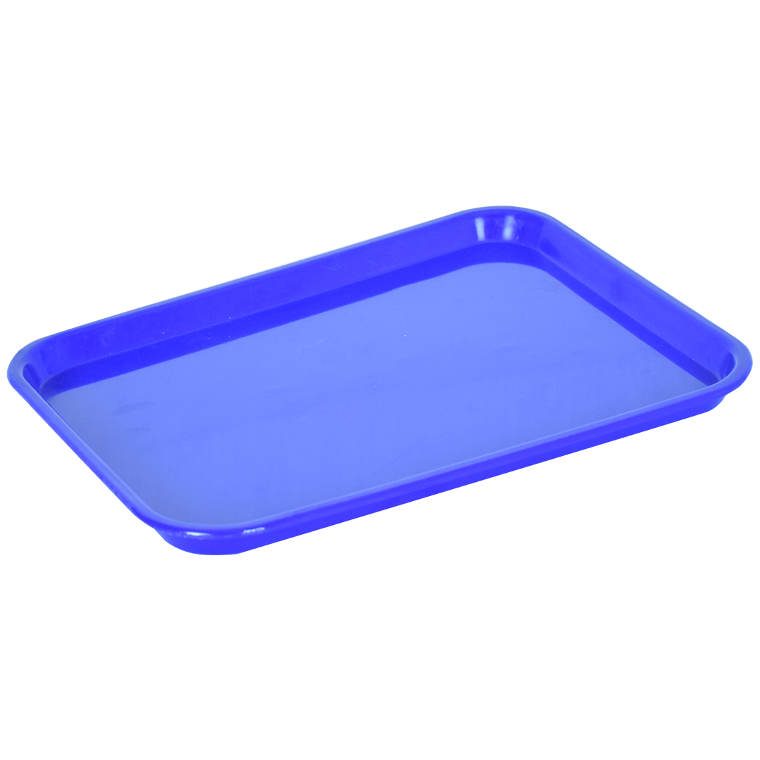 TD2 RPET Tray